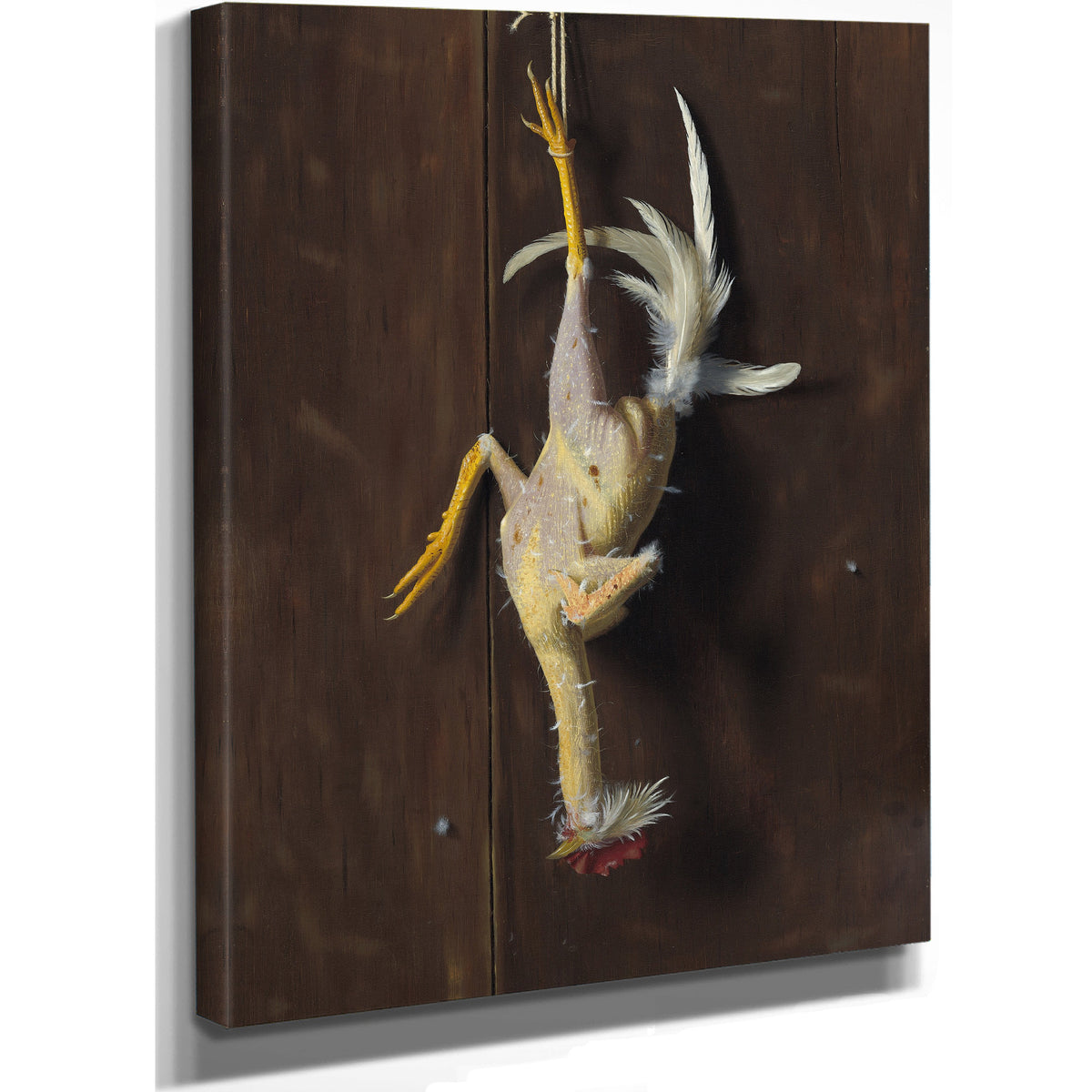 Plucked Clean By Michael Harnett