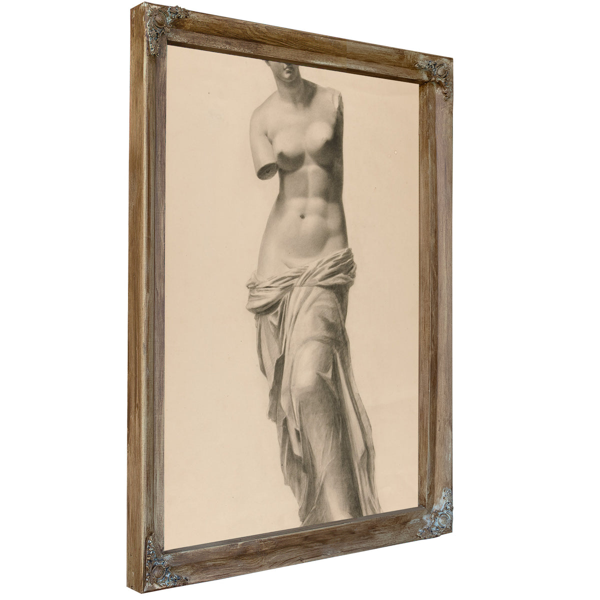 Venus de Milo By Michael Harnett