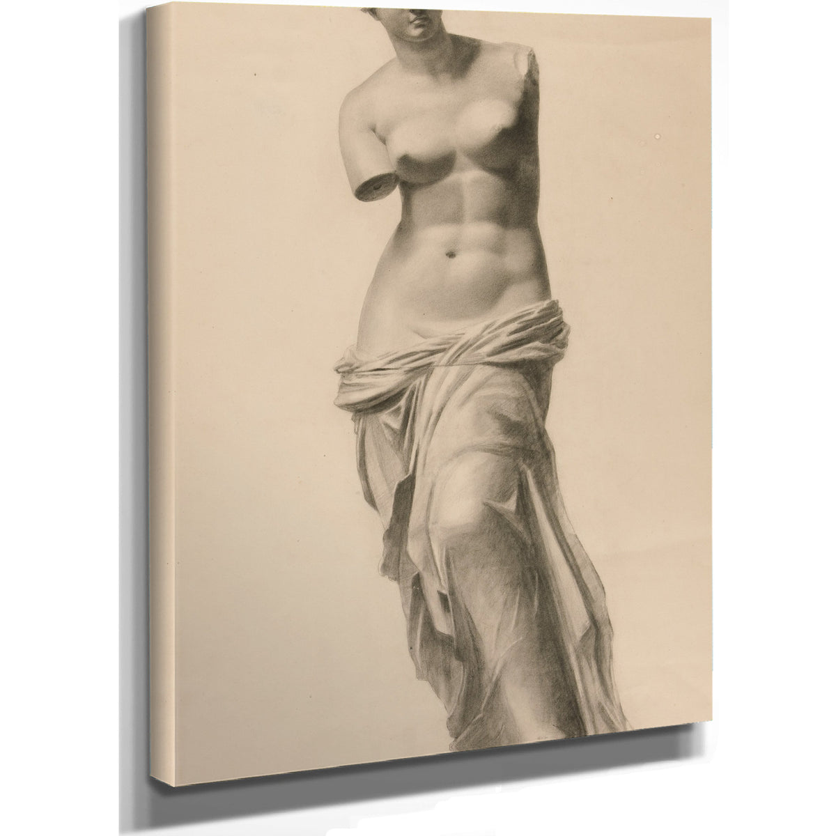 Venus de Milo By Michael Harnett