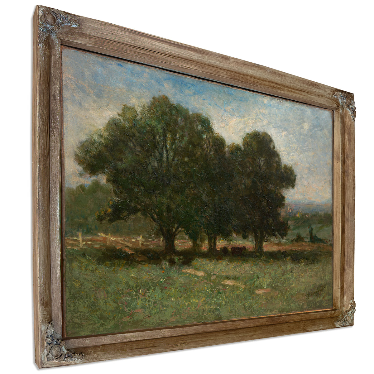 Landscape 1 By Mitchell Bannister