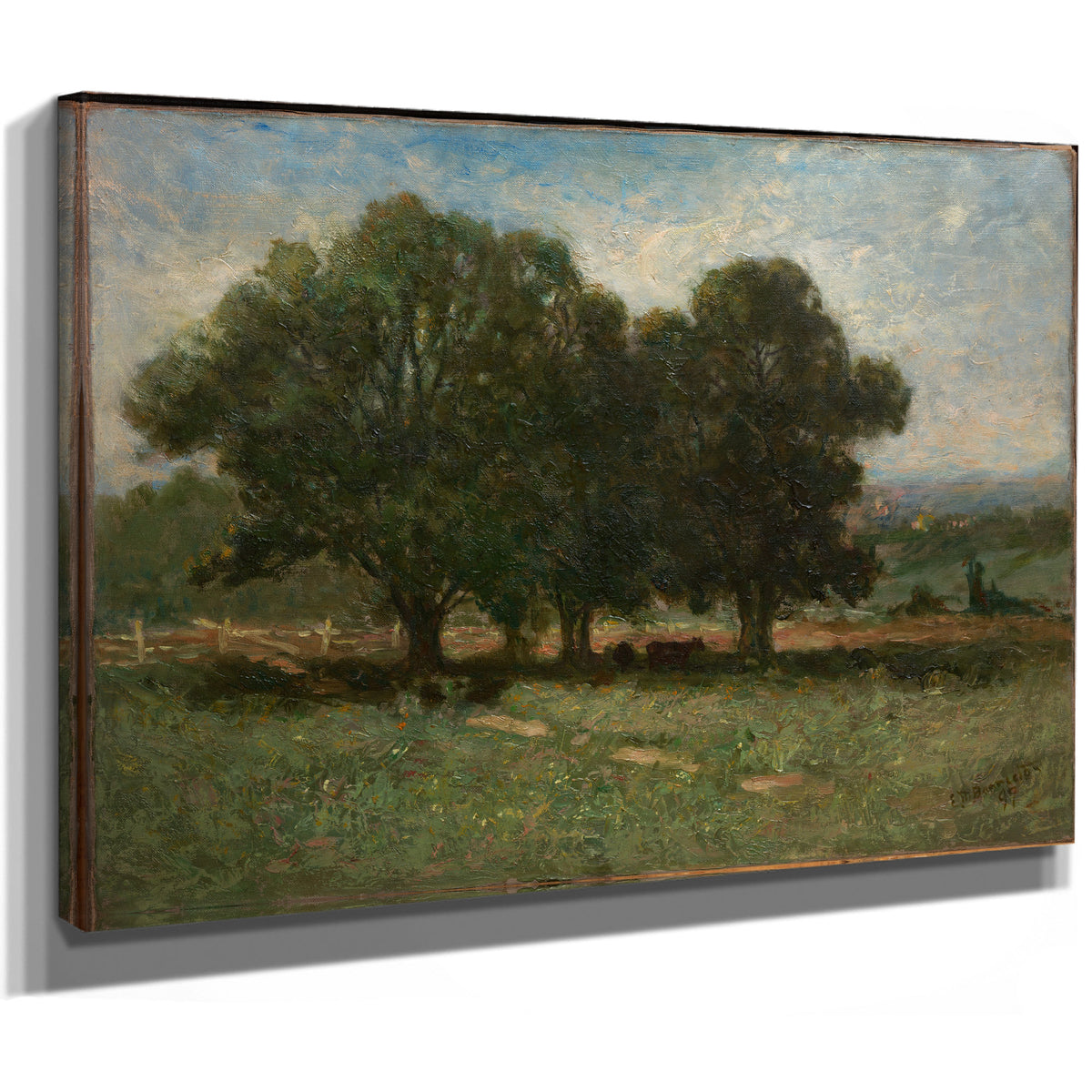 Landscape 1 By Mitchell Bannister