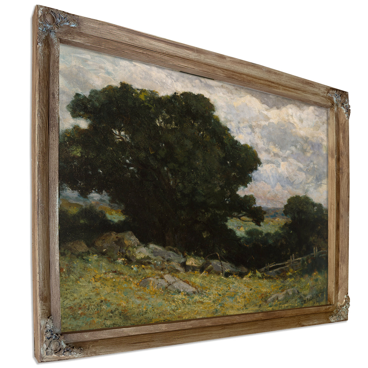 Landscape By Mitchell Bannister