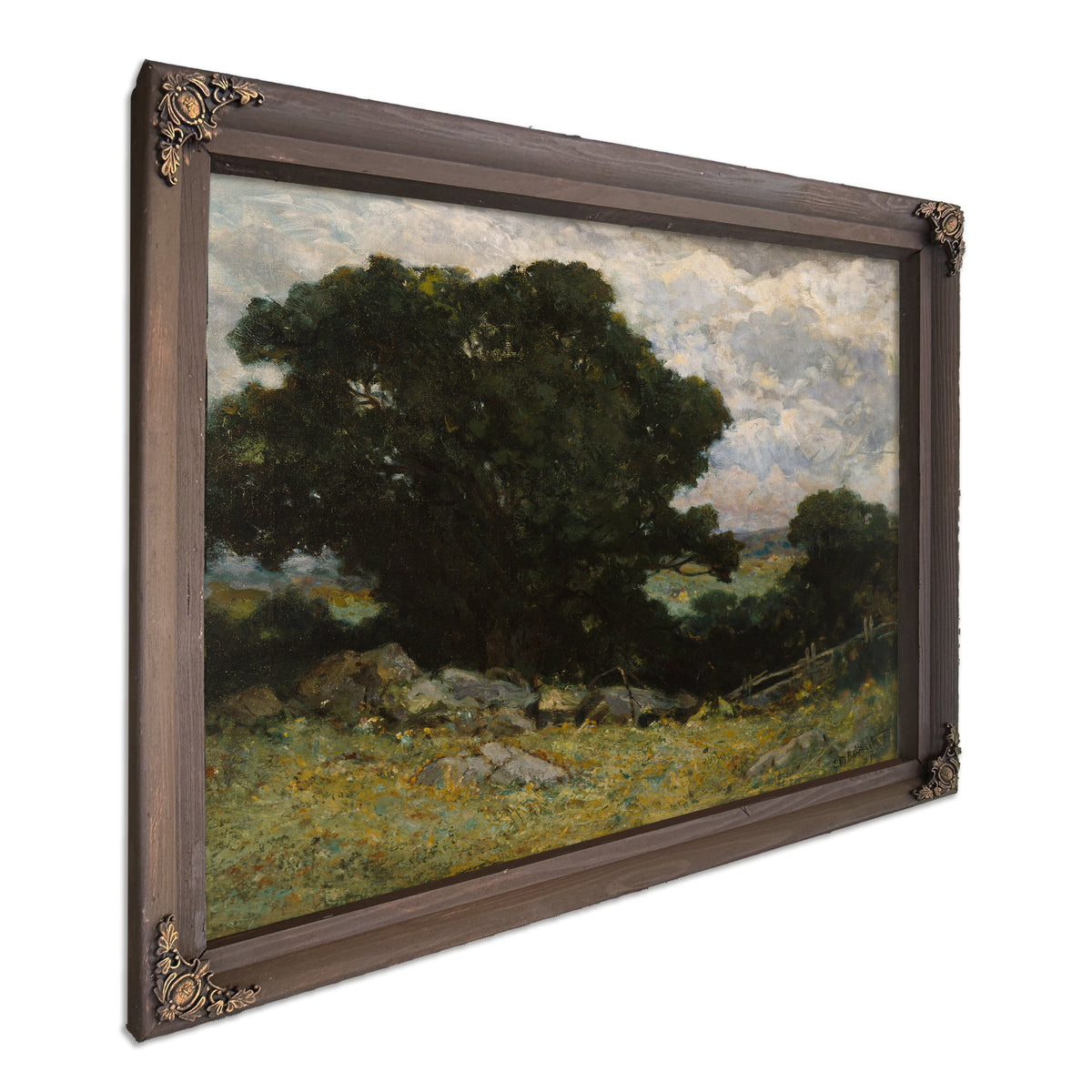 Landscape By Mitchell Bannister