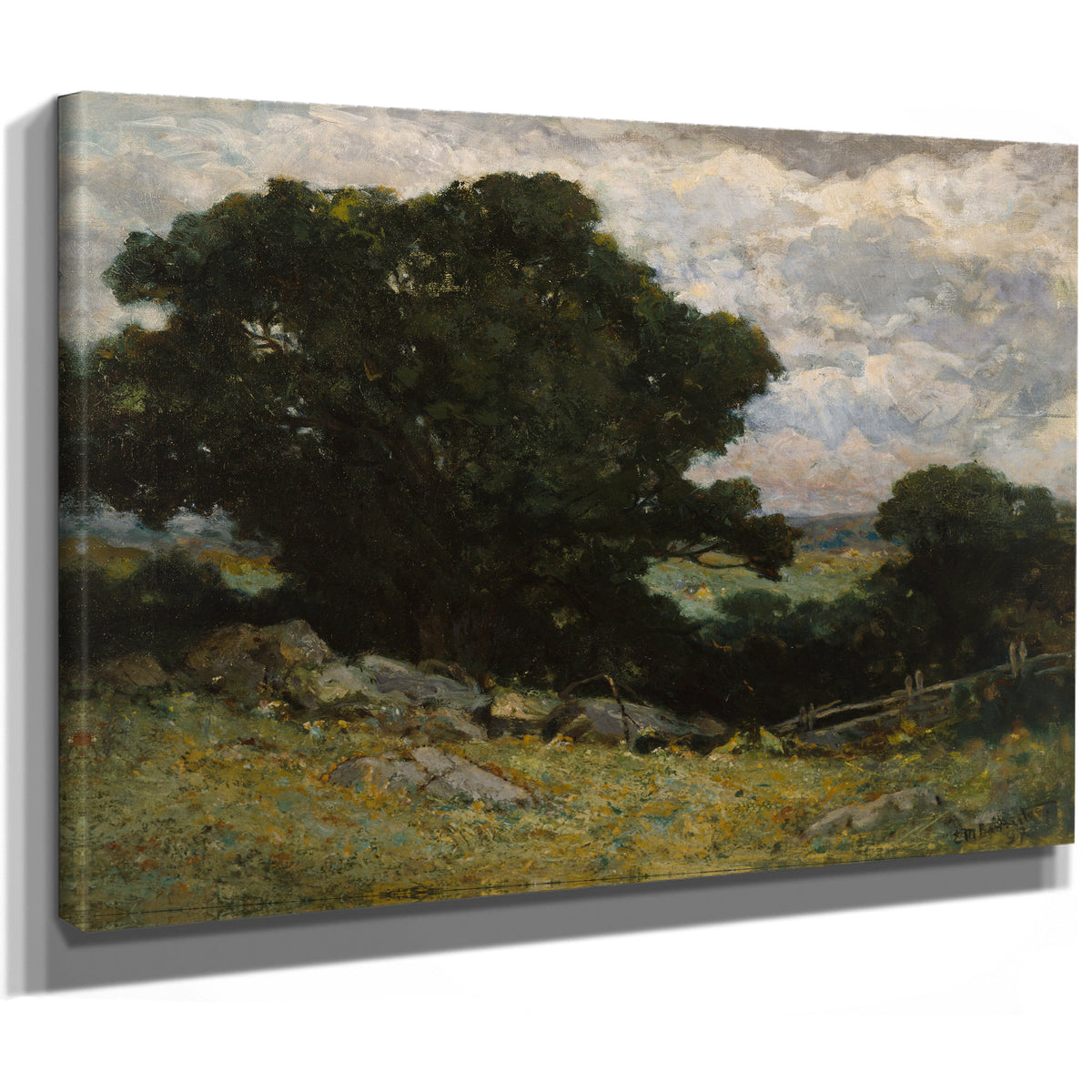 Landscape By Mitchell Bannister