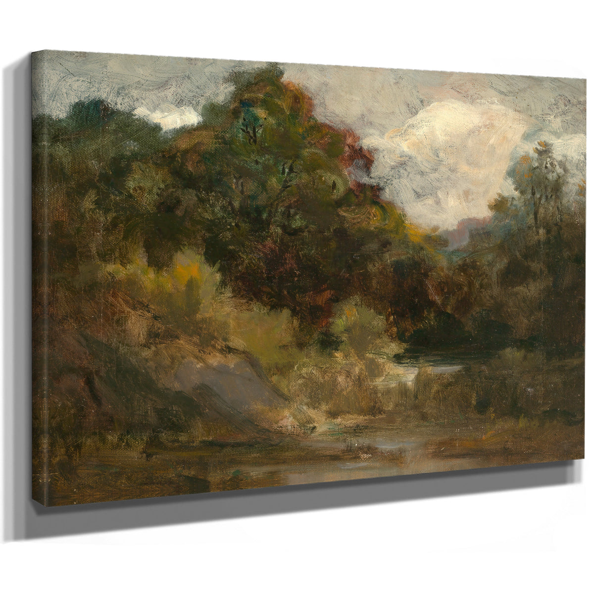 Landscape Trees By Mitchell Bannister