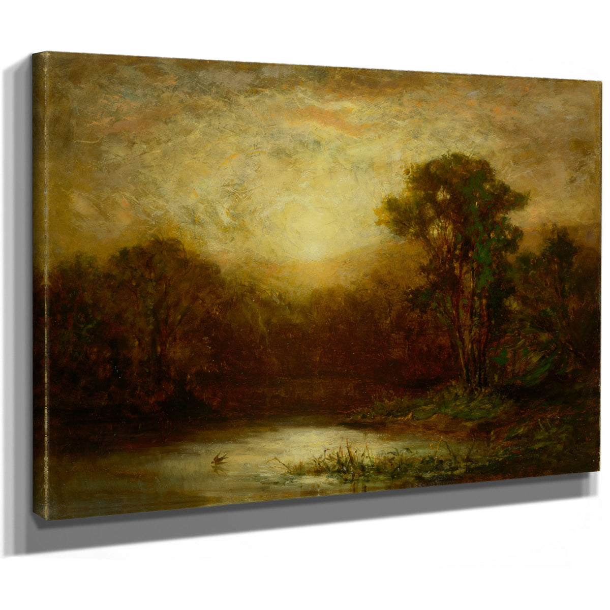 Sunset 1 By Mitchell Bannister