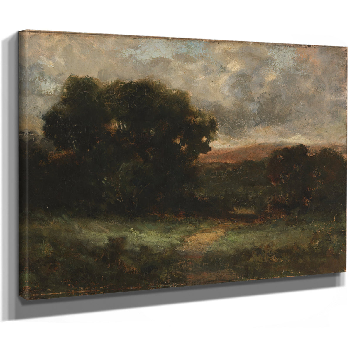 Untitled Landscape Meadow Trees By Mitchell Bannister