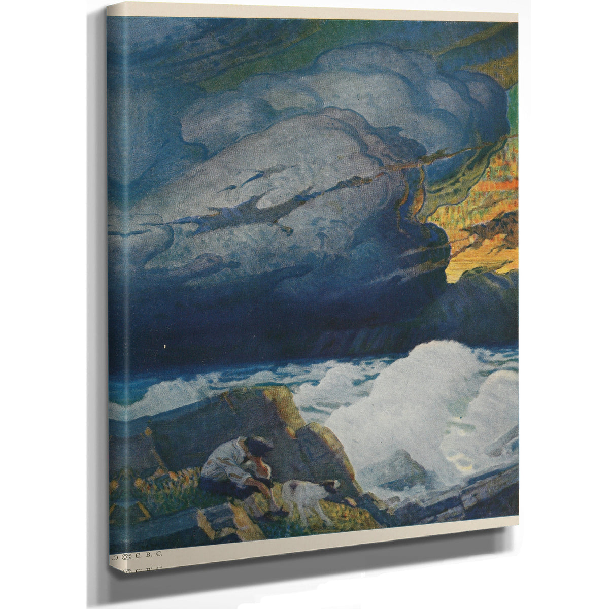 Newell Convers Wyeth All This By N C Wyeth