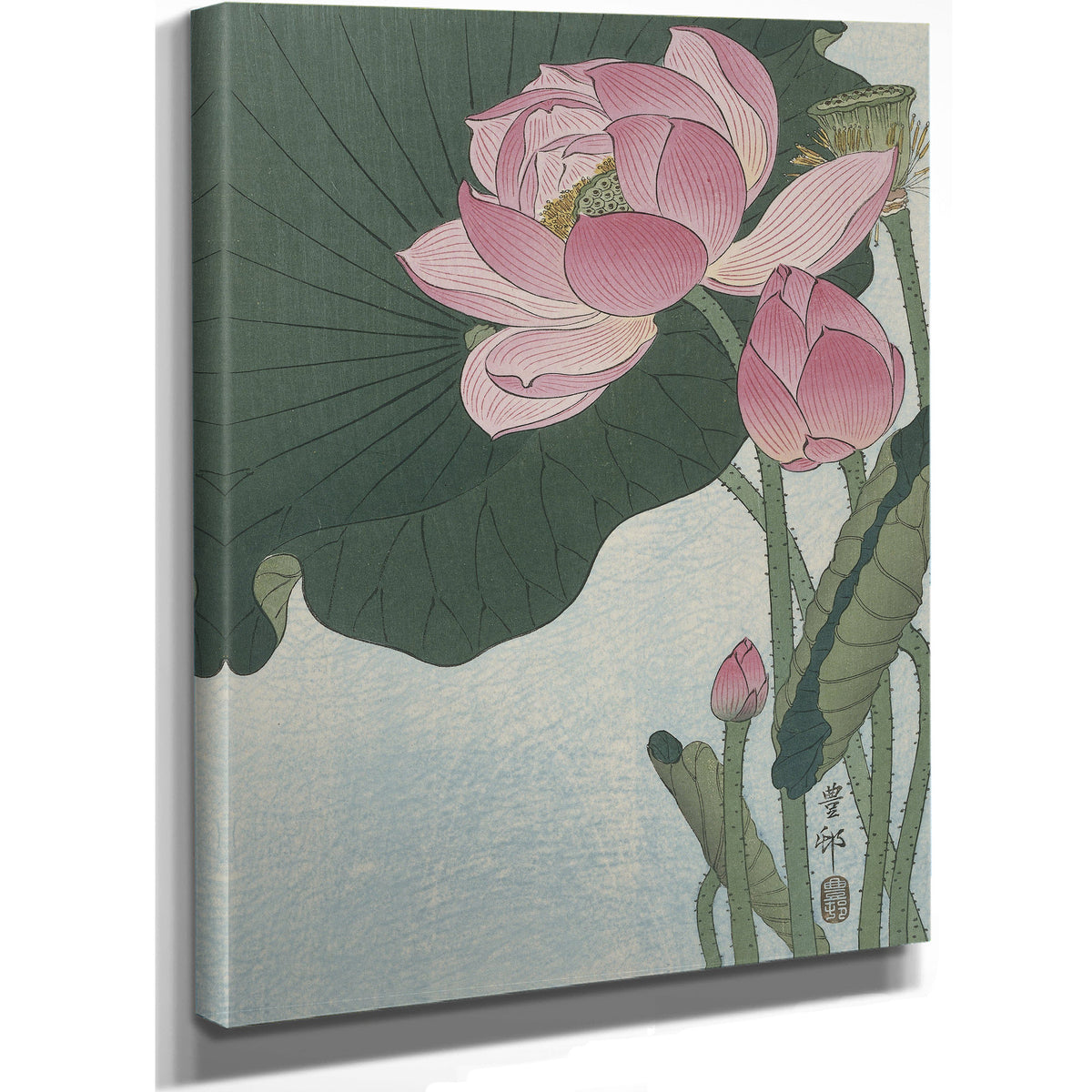 Blooming Lotus Flowers 1920 1930 By Ohara Koson