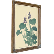 Flowering Hosta 1900 1930 By Ohara Koson