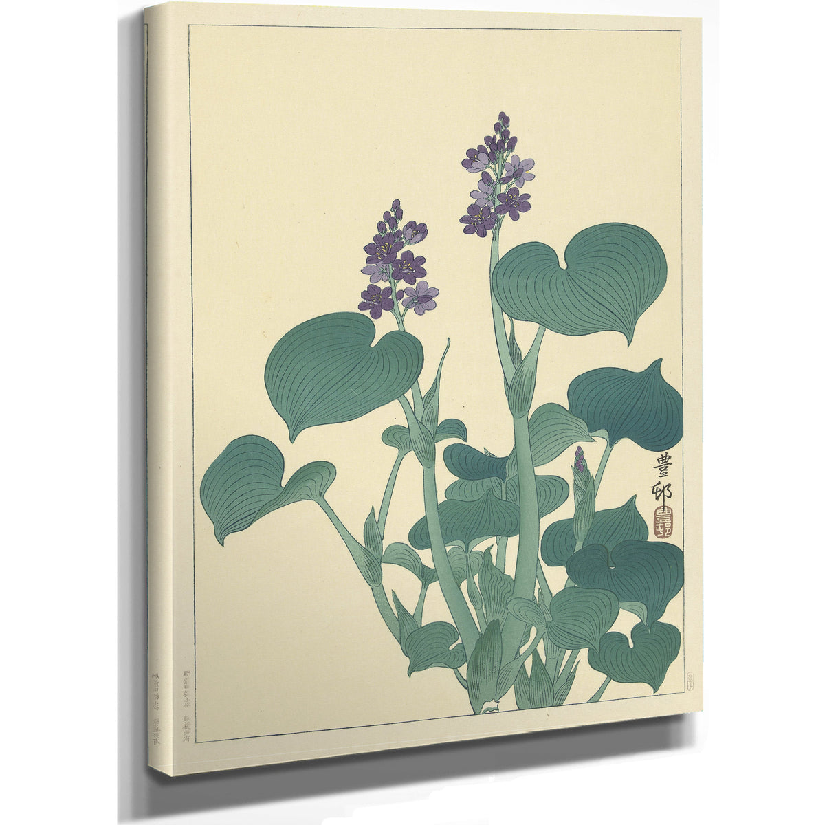 Flowering Hosta 1900 1930 By Ohara Koson