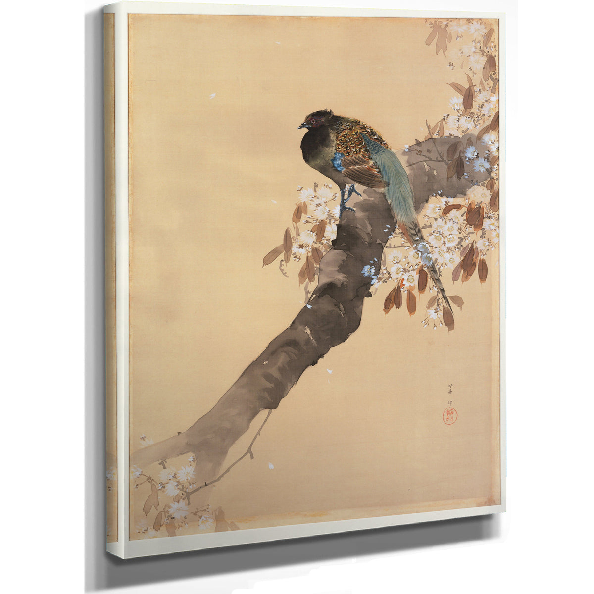 Pheasant Cherry Blossom Branch 1887 By Ohara Koson