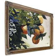 Oranges On A Branch By Winslow Homer