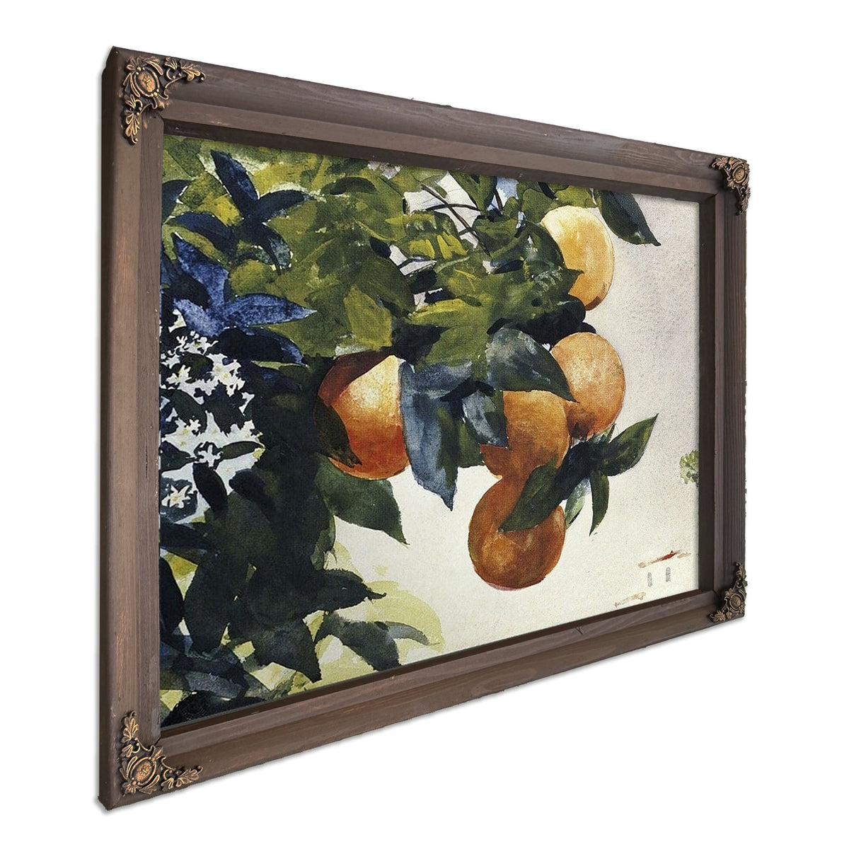 Oranges On A Branch By Winslow Homer