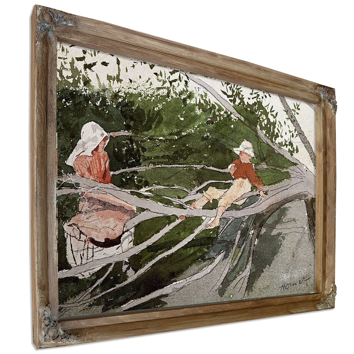 Out On A Limb By Winslow Homer