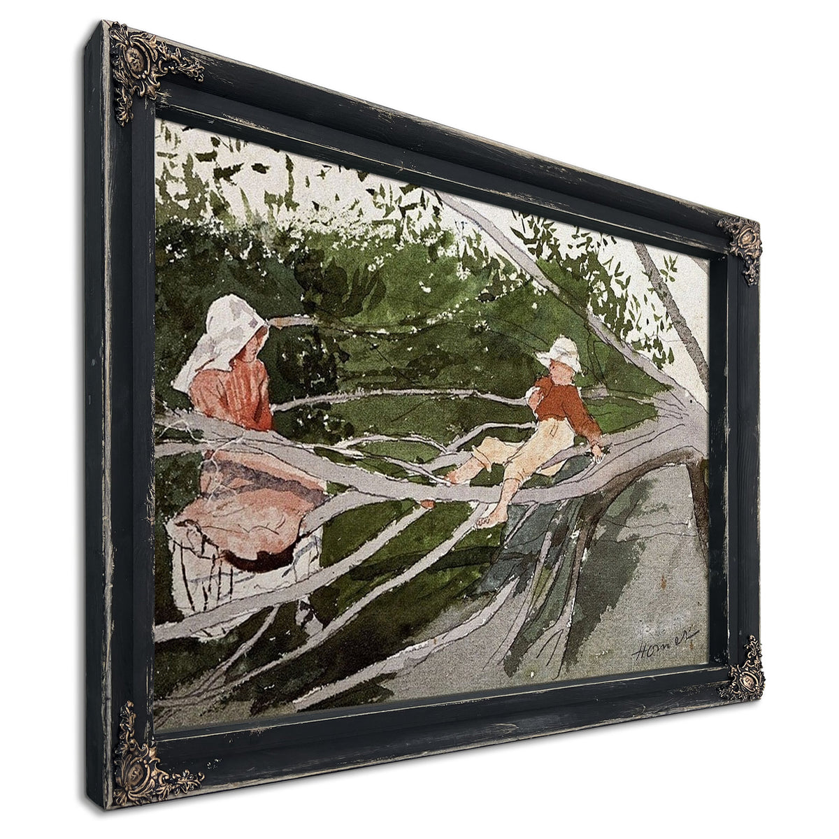 Out On A Limb By Winslow Homer