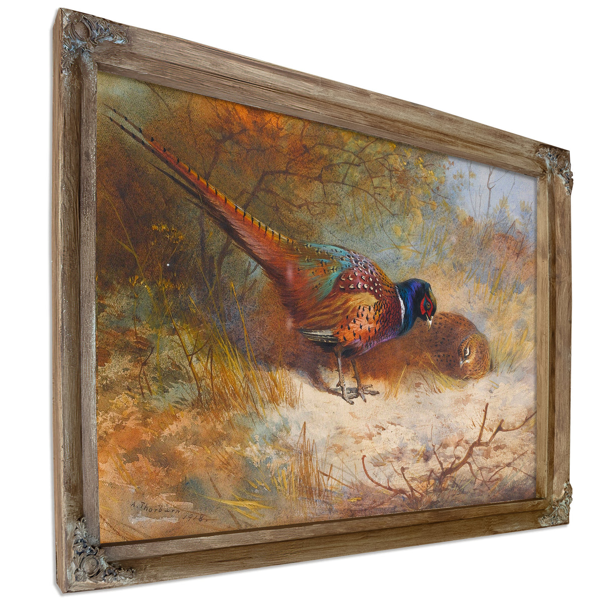 Pheasants by Archibald Thorburn
