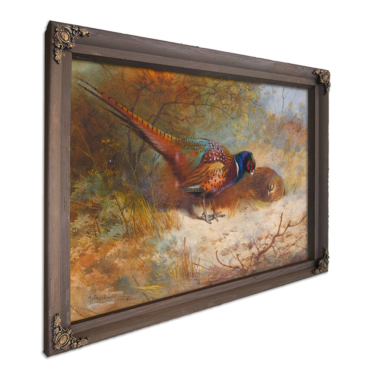 Pheasants by Archibald Thorburn