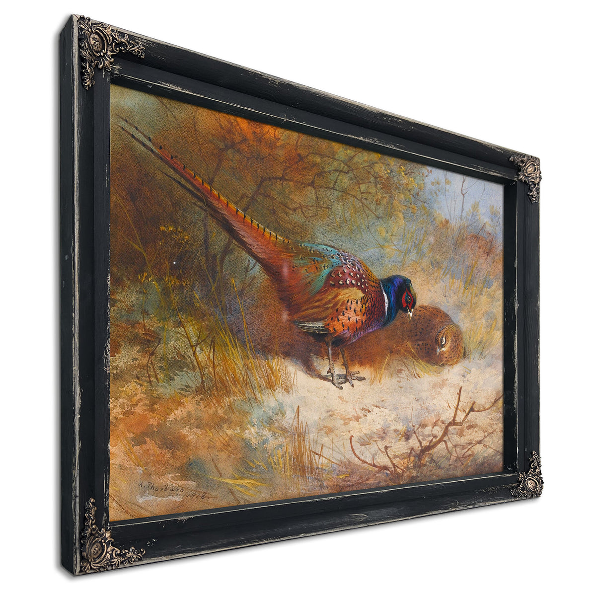 Pheasants by Archibald Thorburn