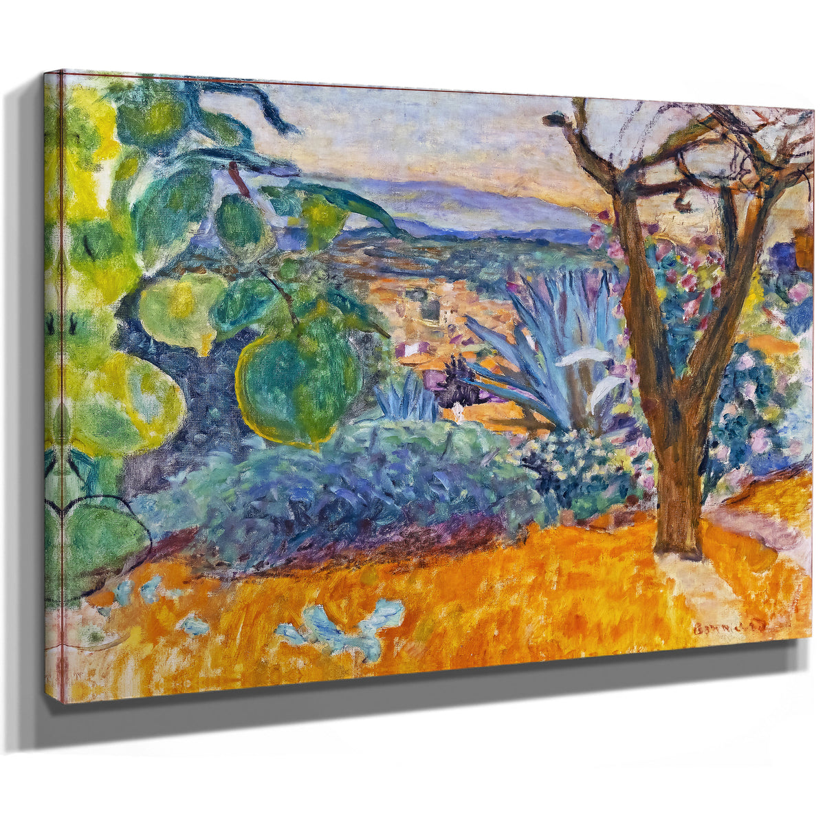 Le Cannet 1930 By Pierre Bonnard