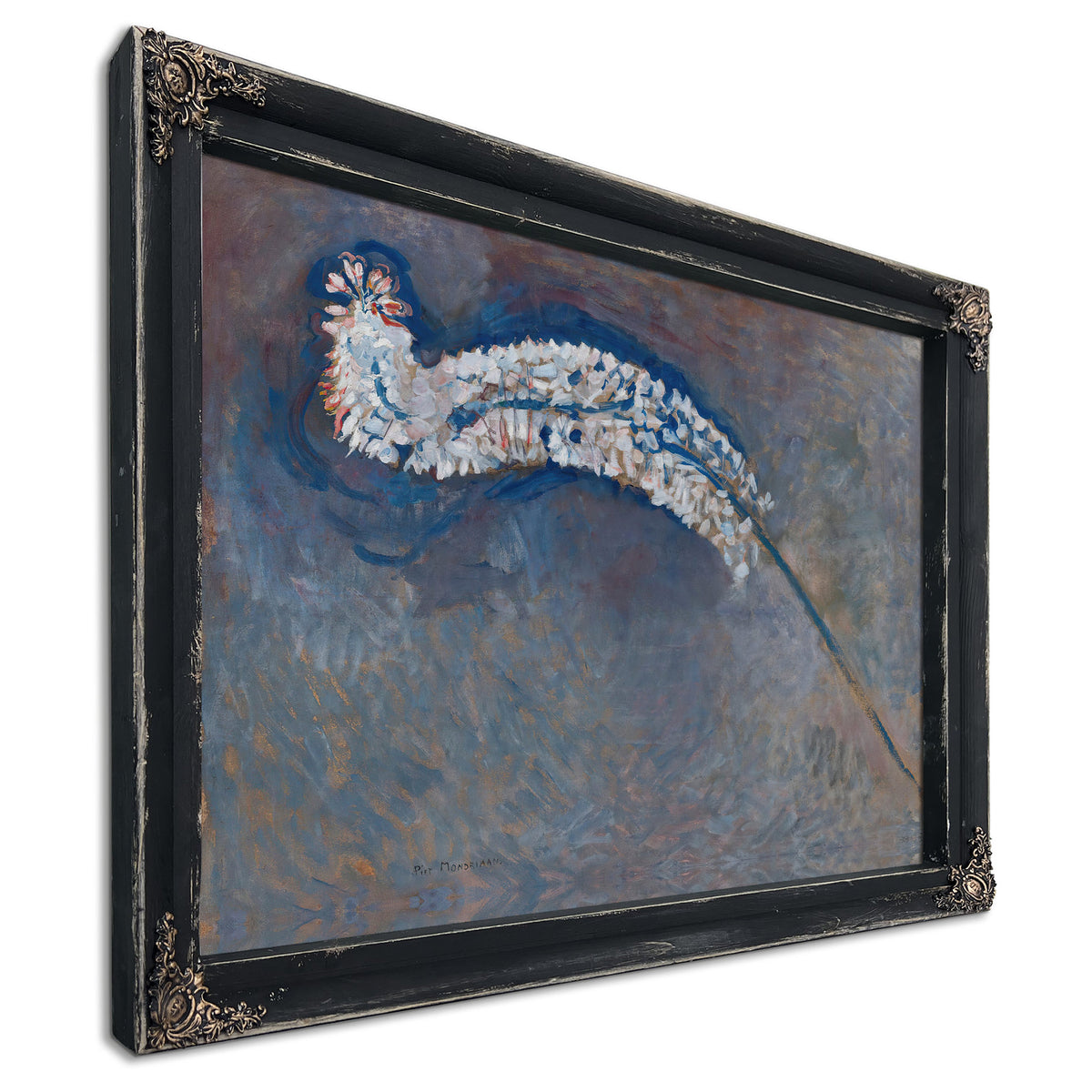 Foxtail Lily By Piet Mondrian