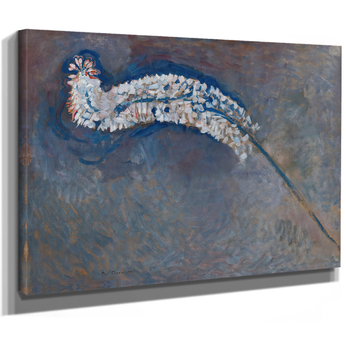 Foxtail Lily By Piet Mondrian