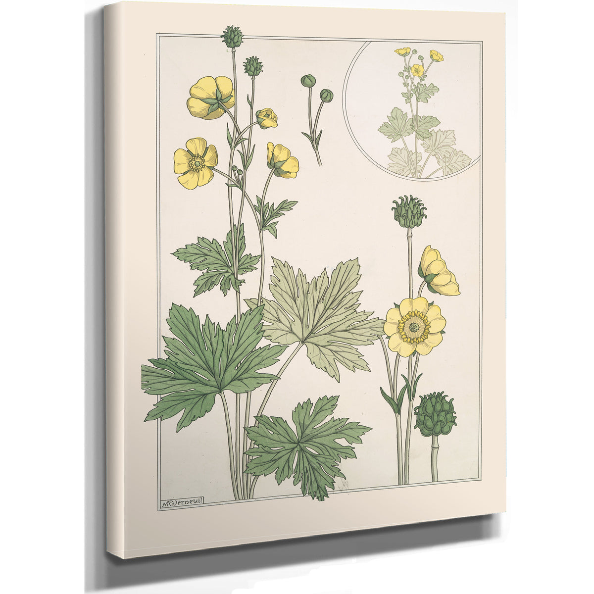 Bouton Dor By Pillard Verneuil