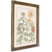 Chrysantheme By Pillard Verneuil