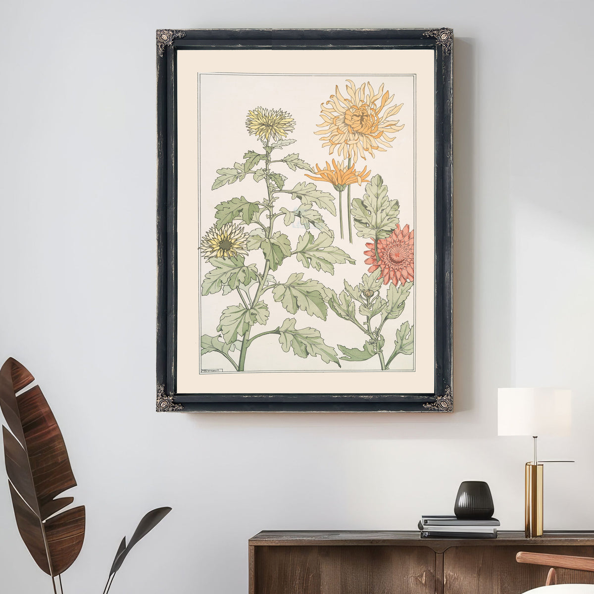 Chrysantheme By Pillard Verneuil