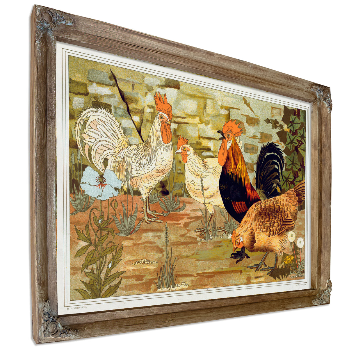 Coqs et Poules By Pillard Verneuil