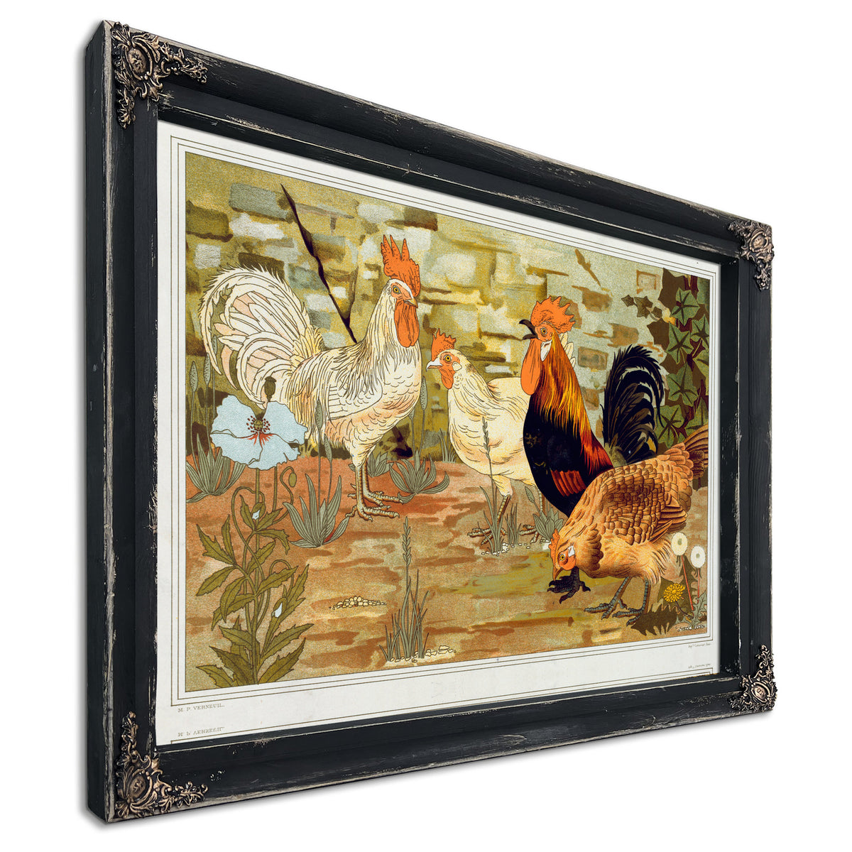 Coqs et Poules By Pillard Verneuil