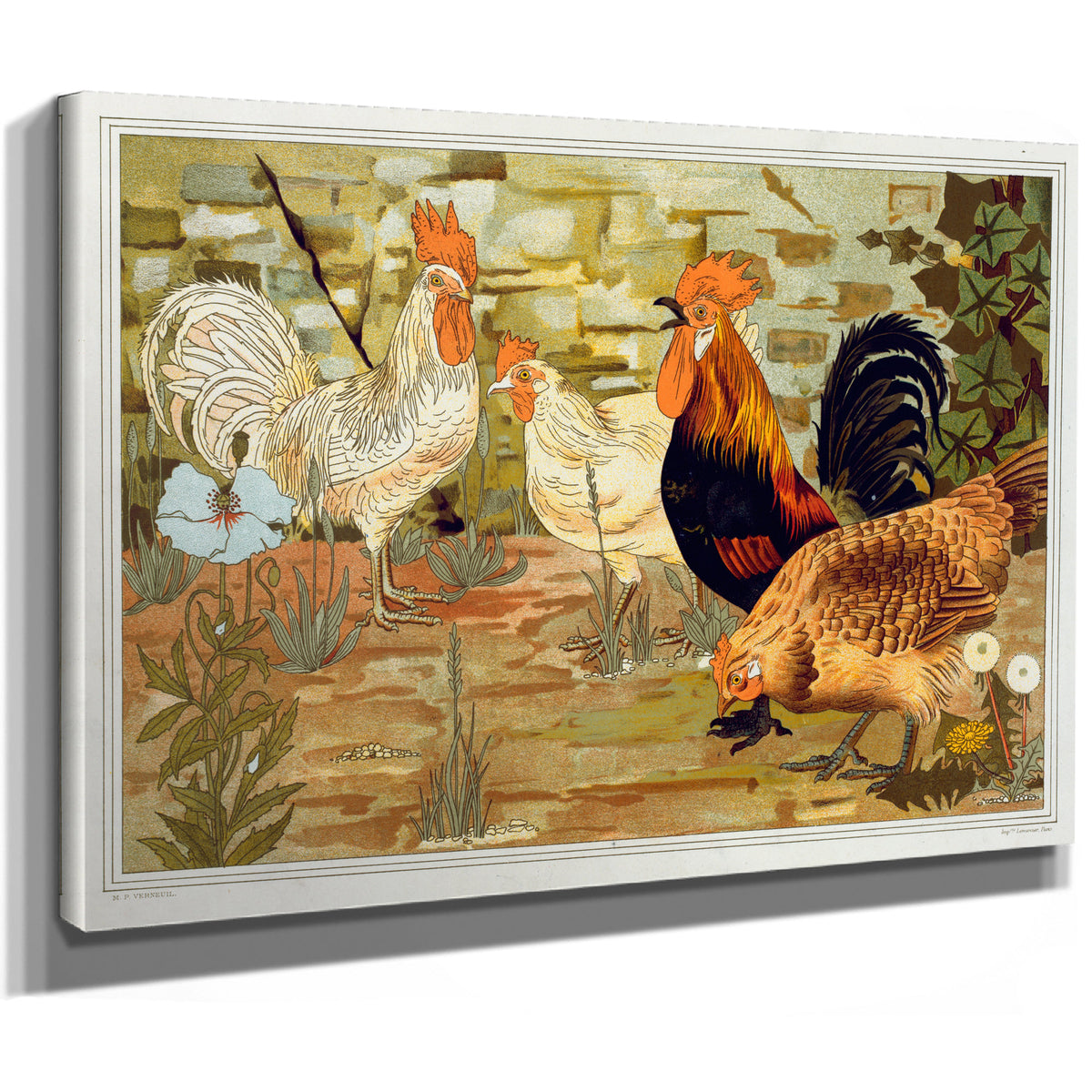 Coqs et Poules By Pillard Verneuil