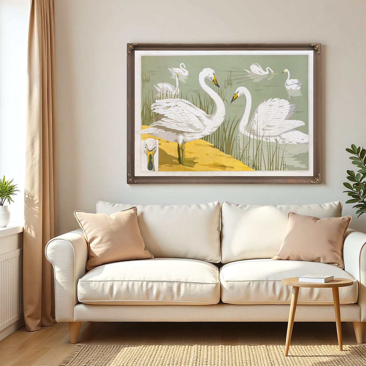 Cygne Sauvage By Pillard Verneuil
