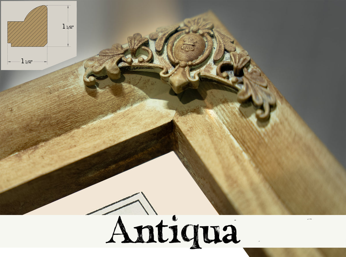 Glycine 1 02 By Pillard Verneuil