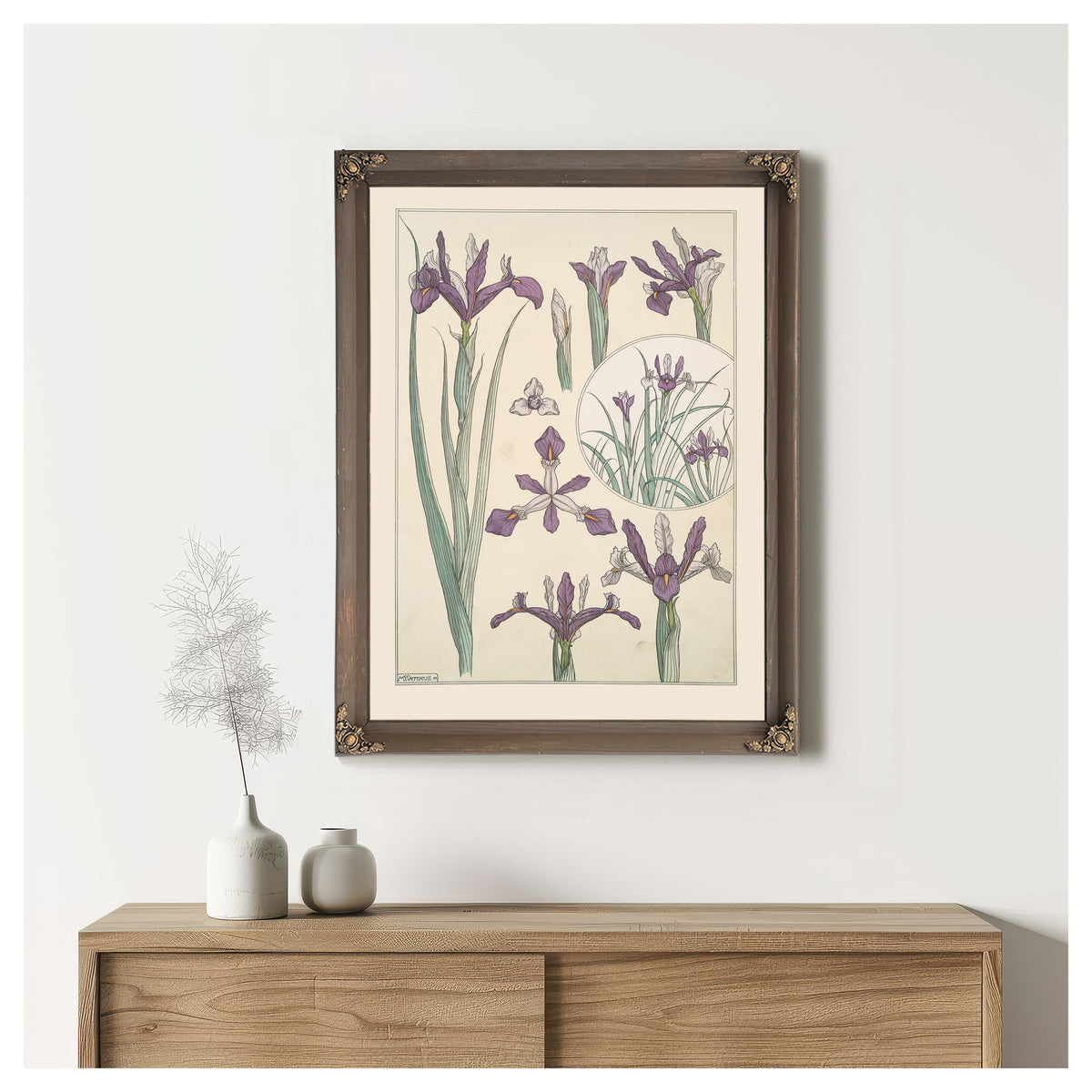 Iris By Pillard Verneuil