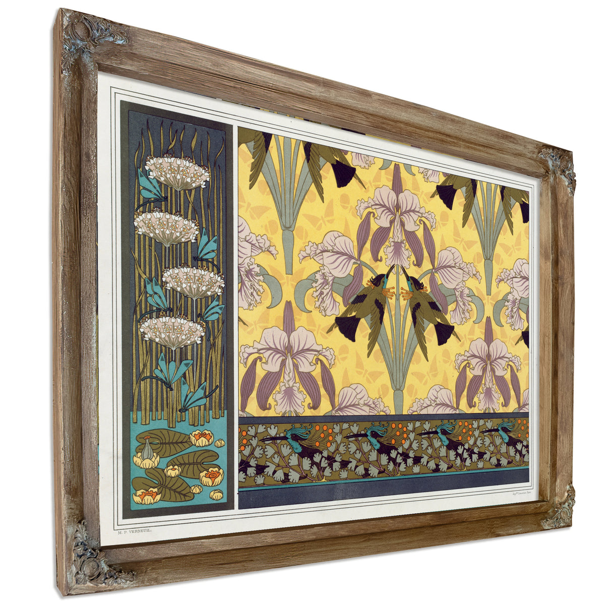 Libellules Butome En Ombelle Nenuphars By Pillard Verneuil