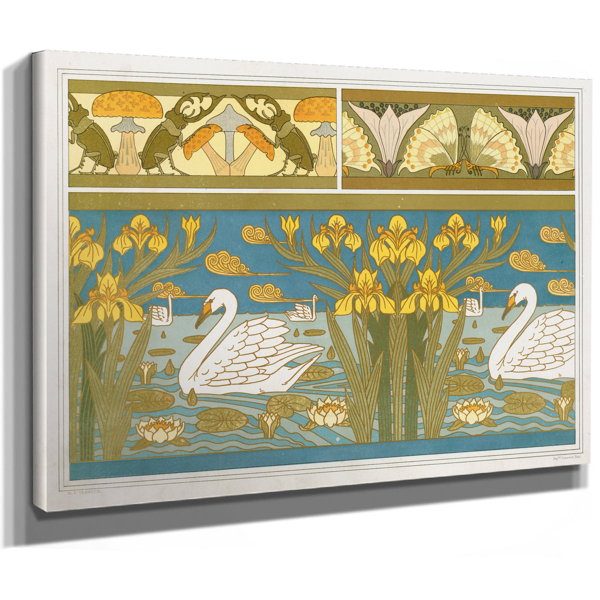 Lucanes et Champignons Oxalides et By Pillard Verneuil