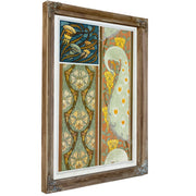 Meduses et Algues Vitrail Cigales et By Pillard Verneuil