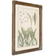 Muguet By Pillard Verneuil