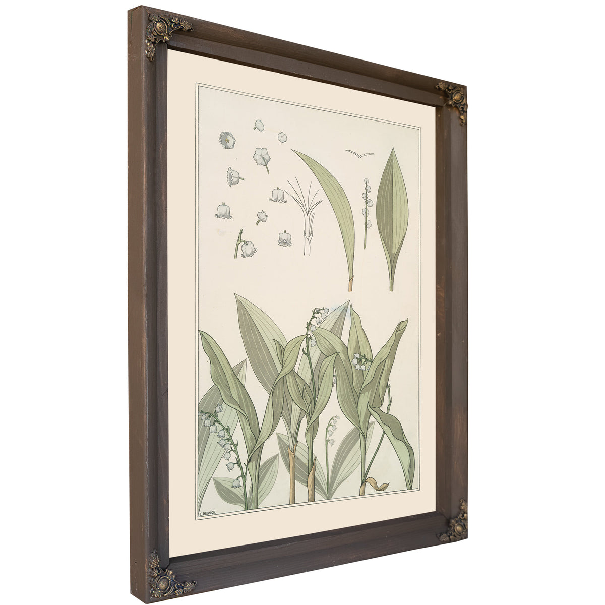 Muguet By Pillard Verneuil