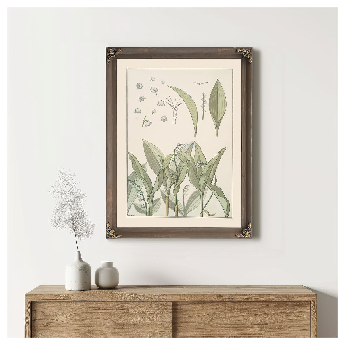 Muguet By Pillard Verneuil