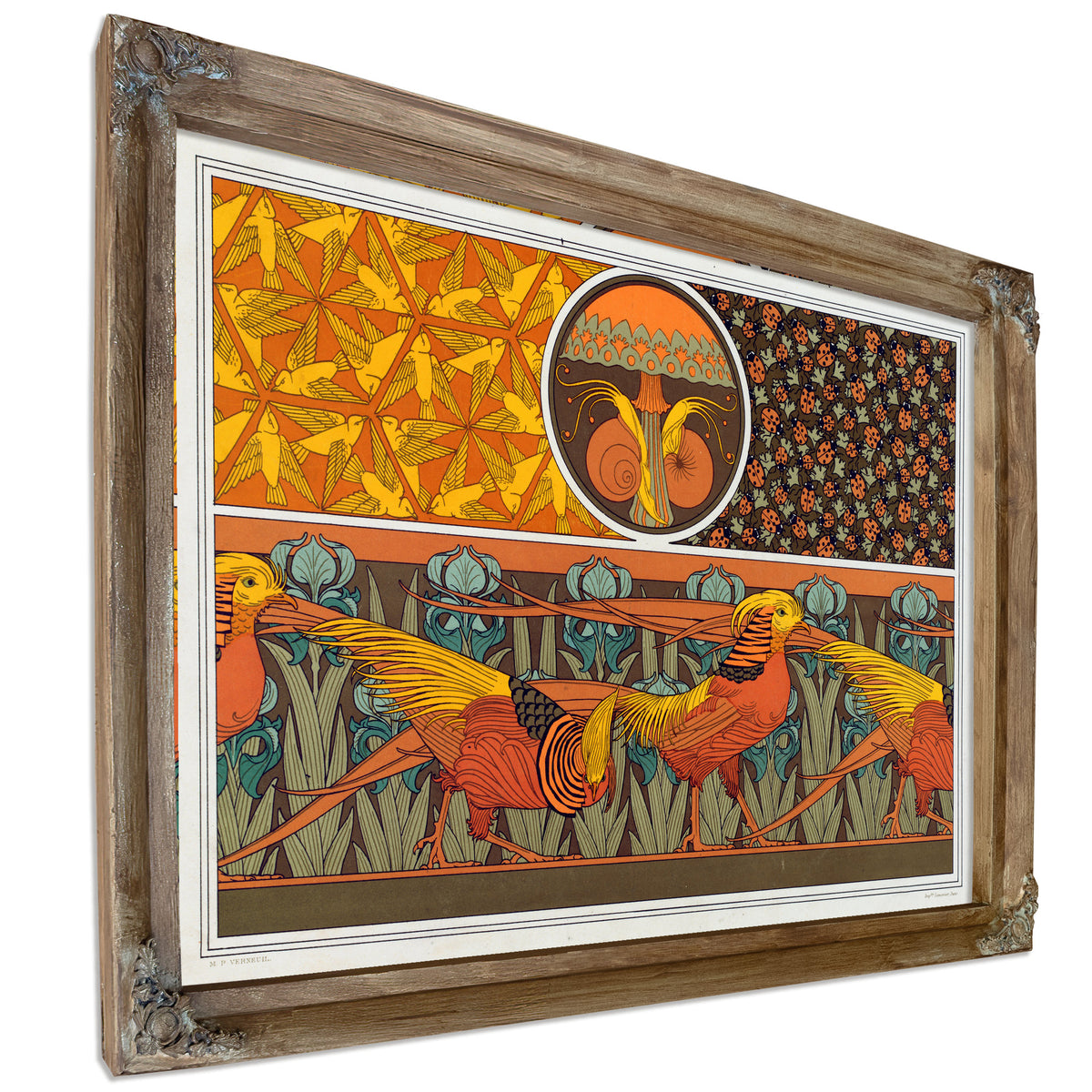 Oiseaux Jeu de Fond Escargots et By Pillard Verneuil