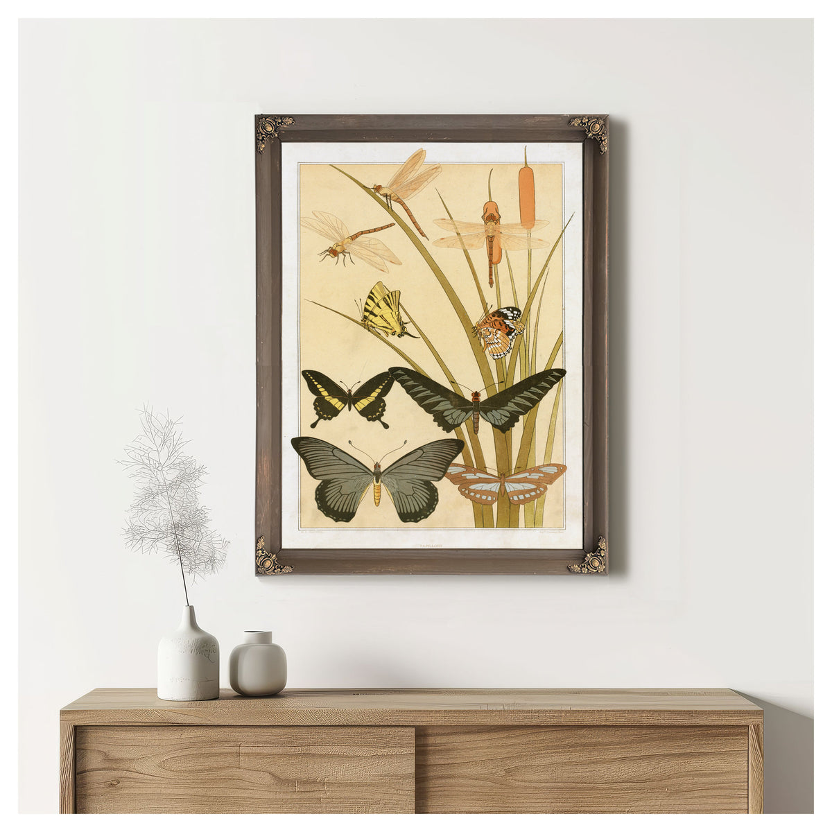 Papillons By Pillard Verneuil