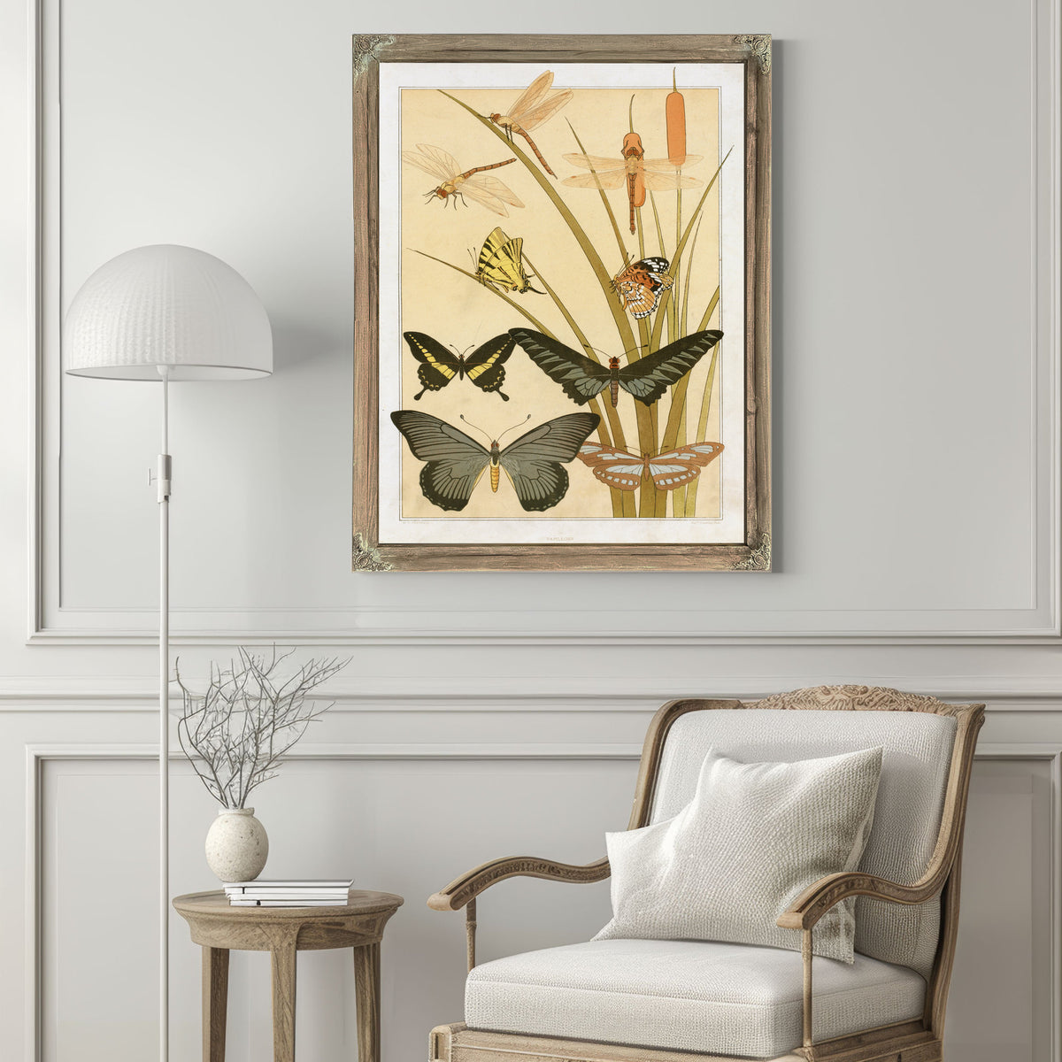 Papillons By Pillard Verneuil