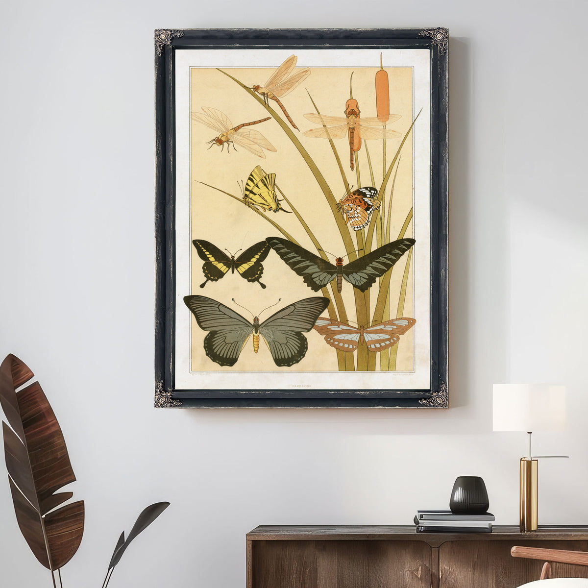Papillons By Pillard Verneuil