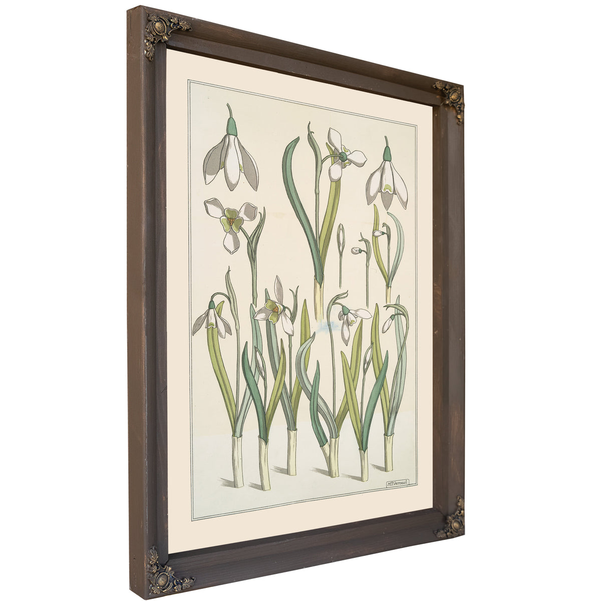 Perce Neige By Pillard Verneuil