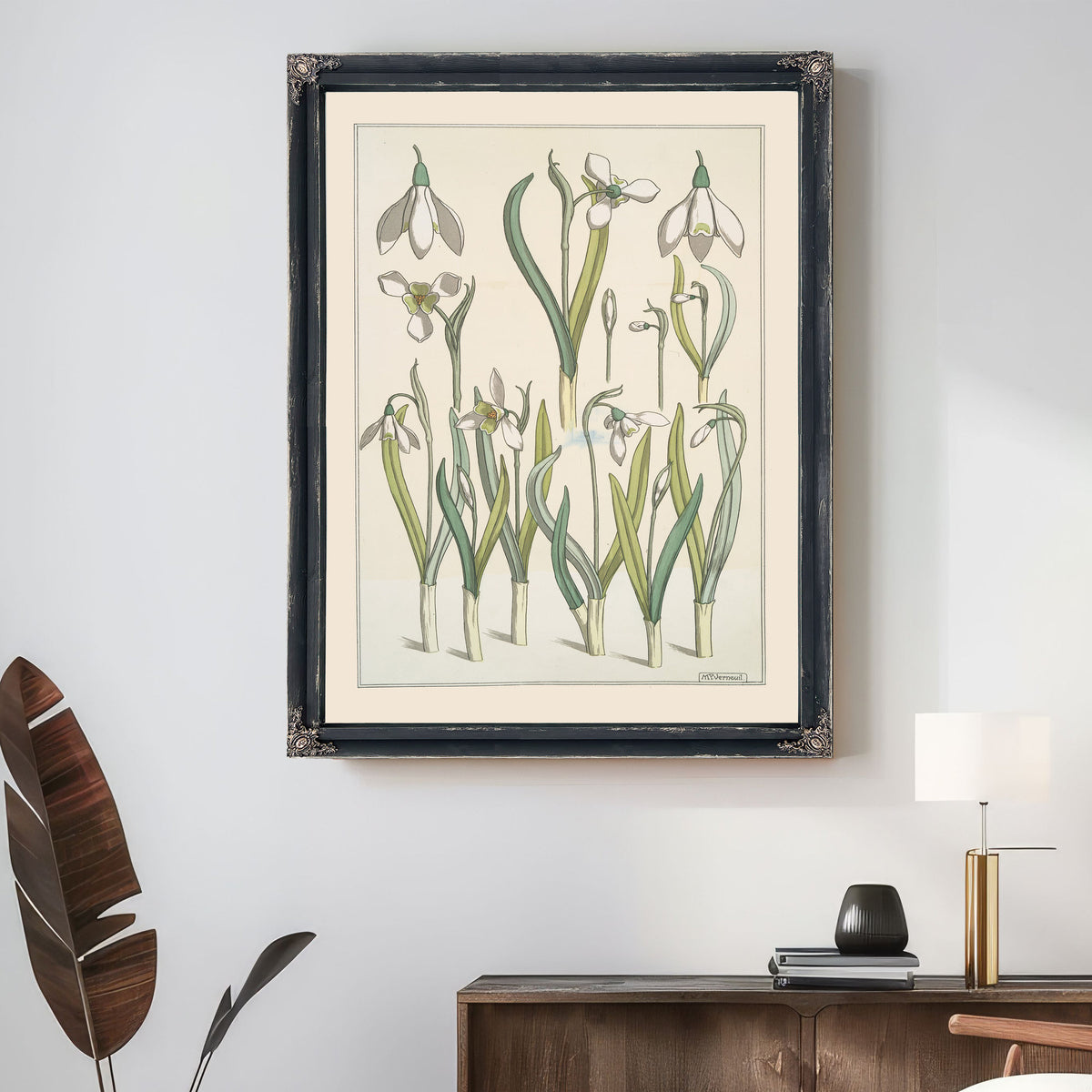 Perce Neige By Pillard Verneuil