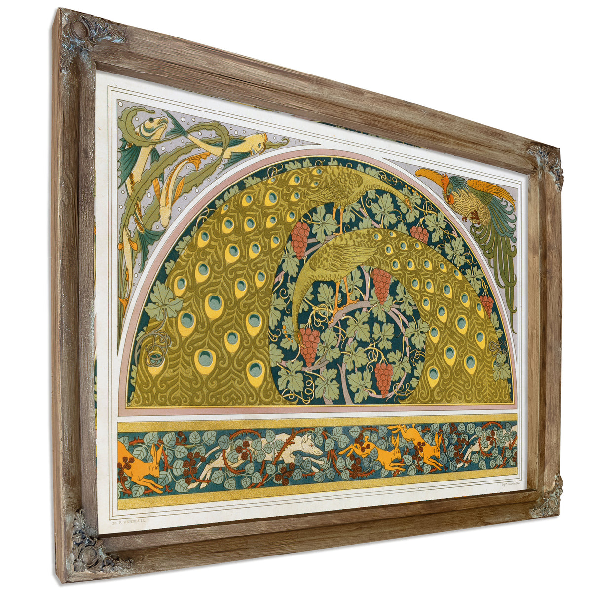Poissons et Algues Coq Ecoincon Paons By Pillard Verneuil