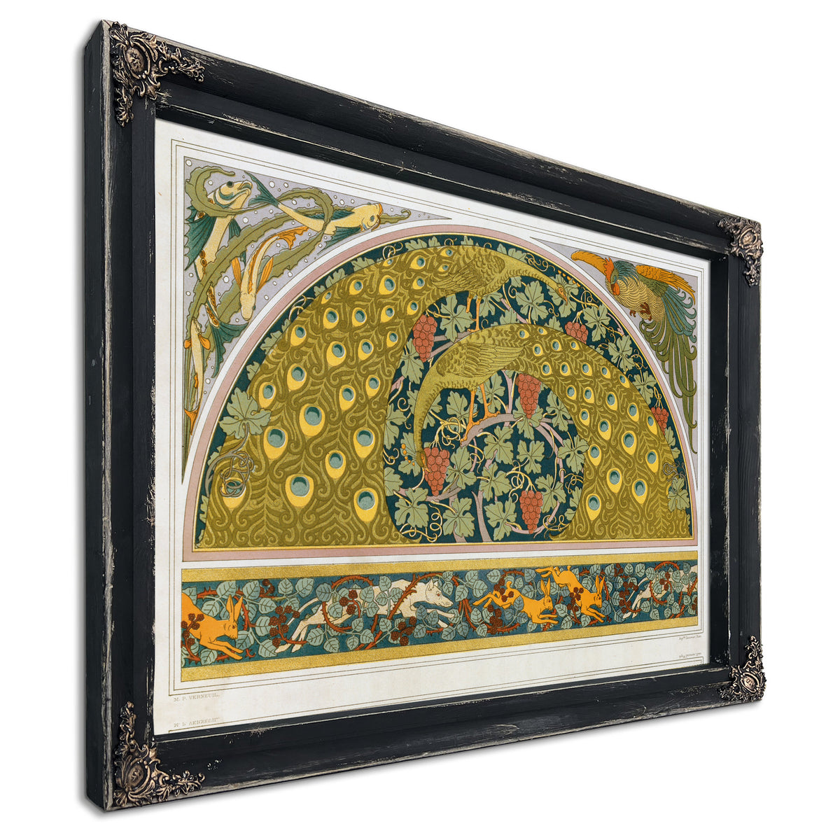 Poissons et Algues Coq Ecoincon Paons By Pillard Verneuil