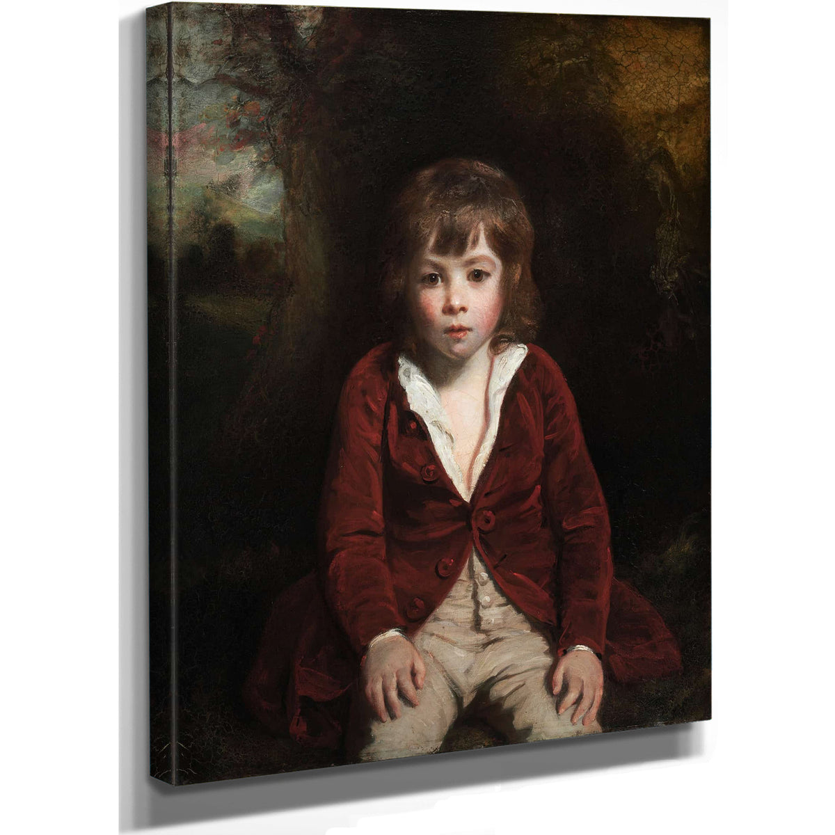 Portrait Of Master Bunbury by Sir Joshua Reynolds
